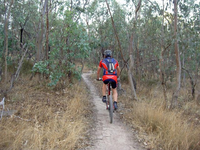 Cootamundra Mountain Bike Track