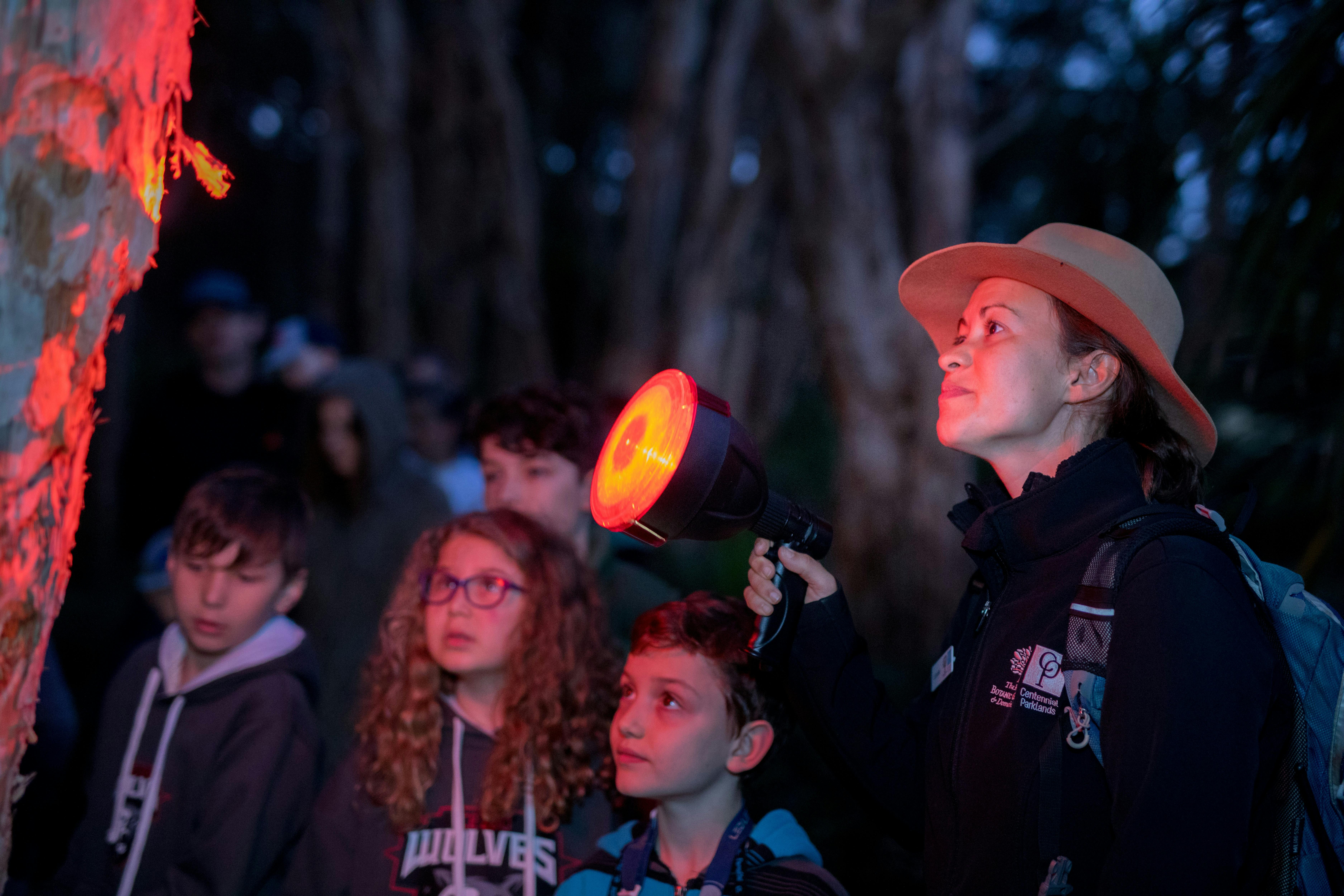 Spotlight Prowl for Families