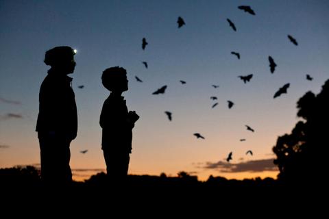 Spotlight Prowl for Families