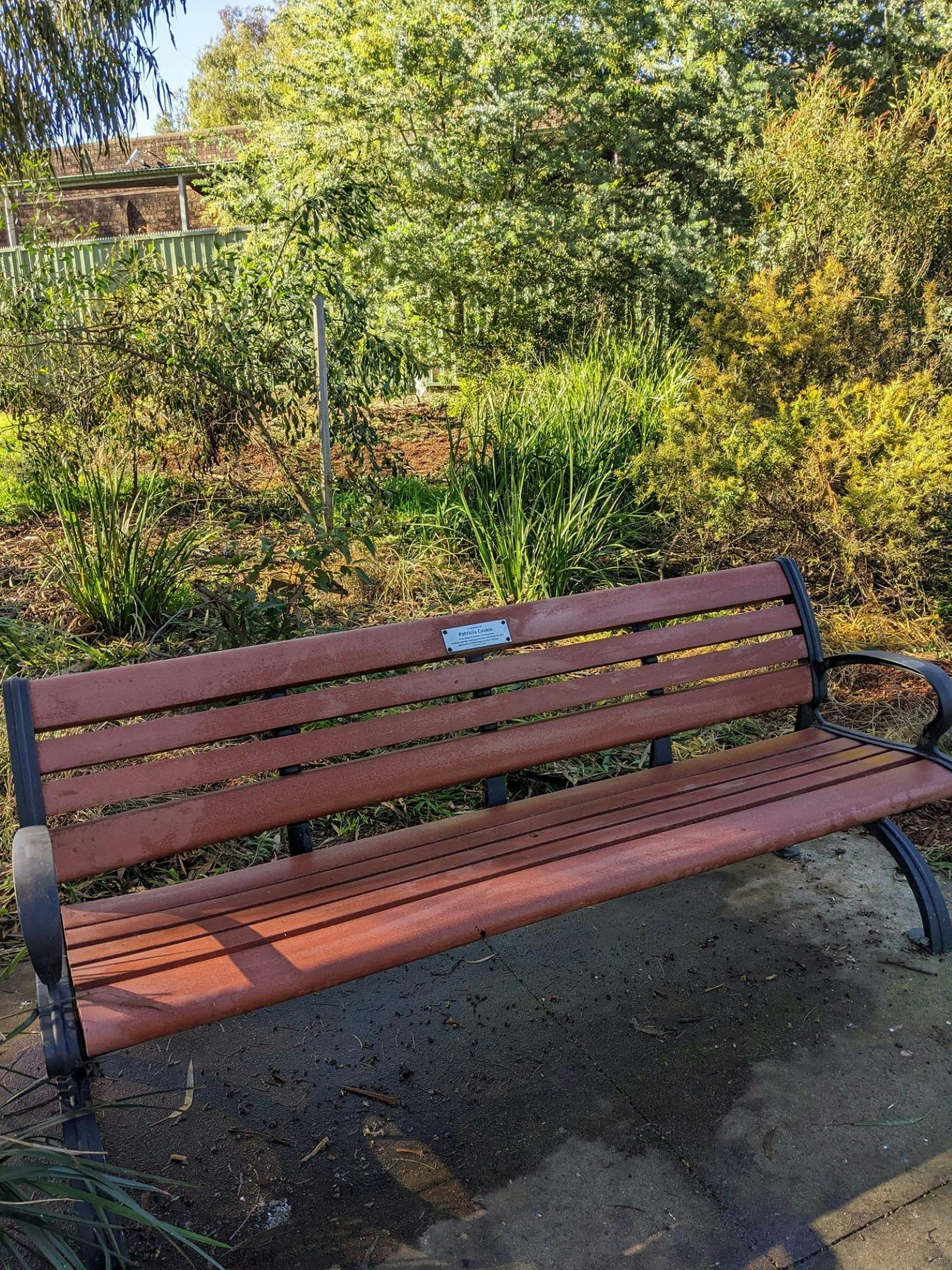 Bird Walk Relaxation