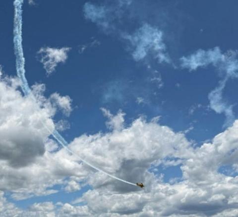 Wings Over Shellharbour