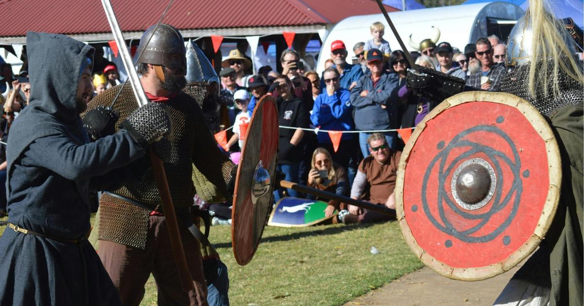 Vikings Battle