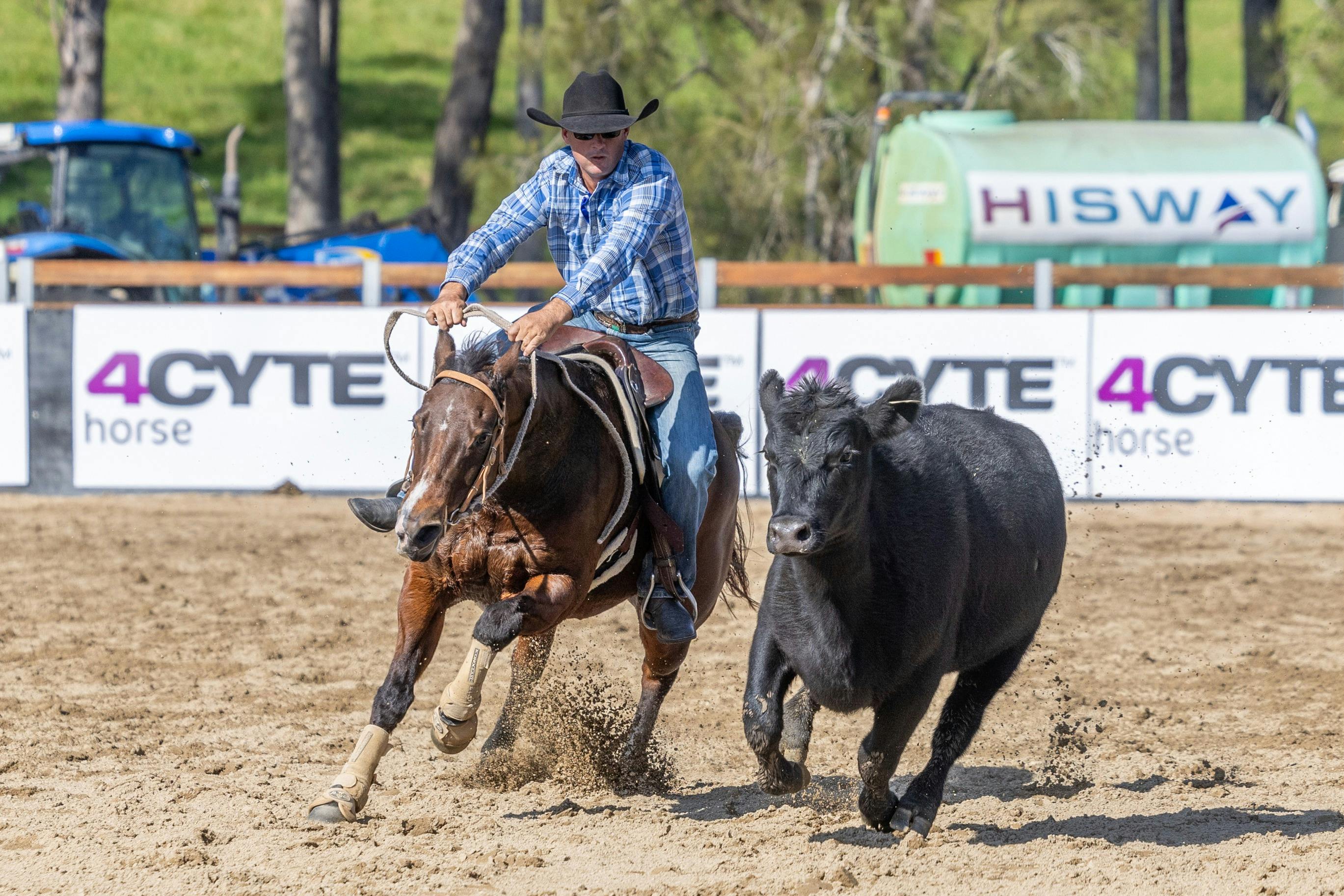 Willinga Park Gold Buckle Campdraft Championship 2026
