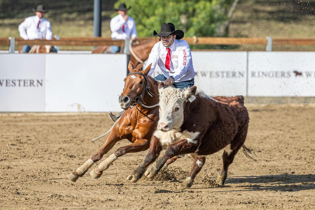 Willinga Park Gold Buckle Campdraft Championshiph
