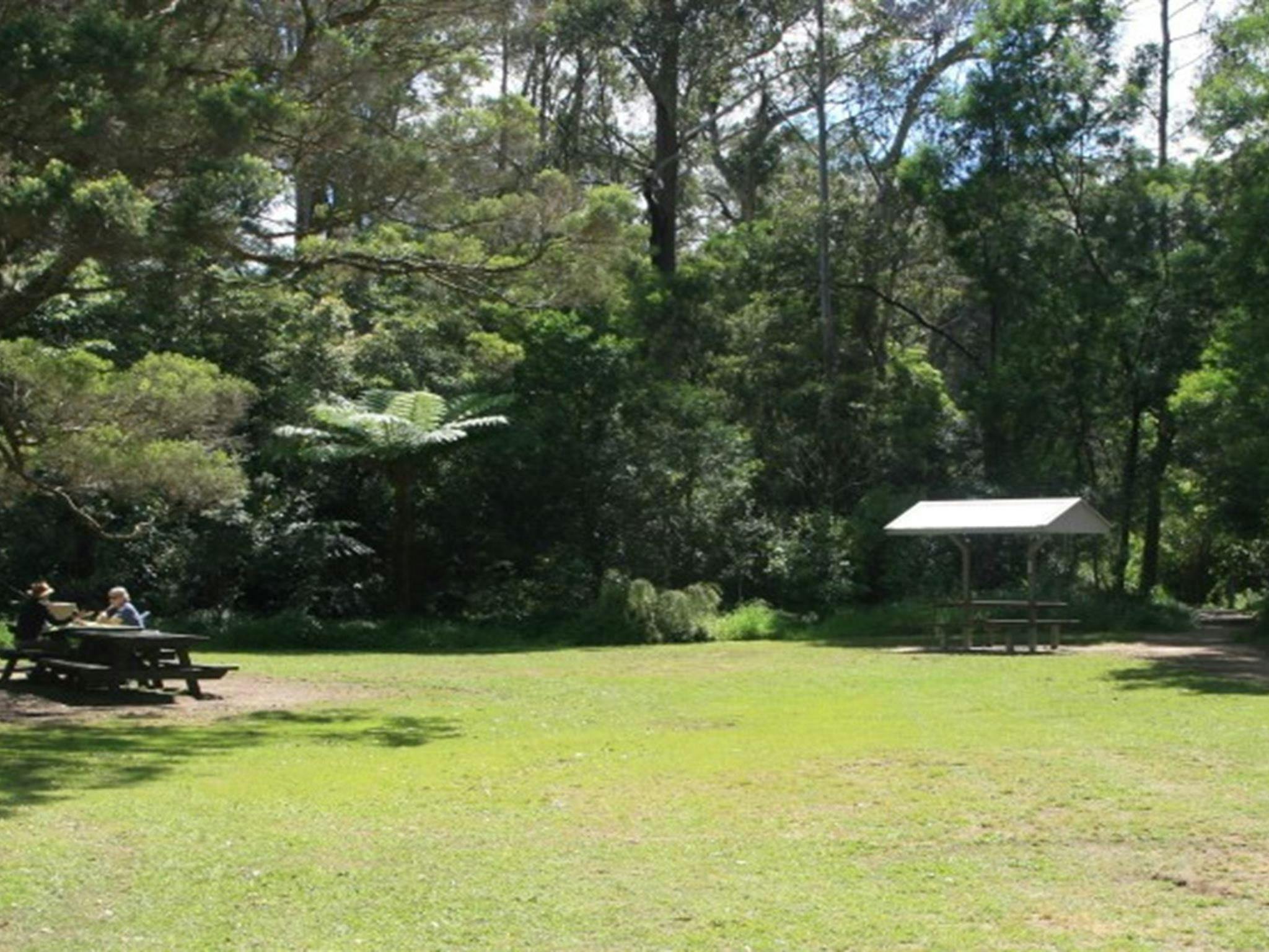 Spacious, grassy Cottonwood Glen picnic area with a picnic shelter and picnic table in the