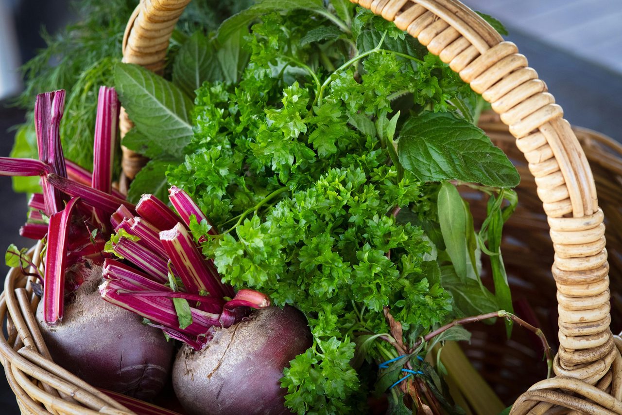 Garden produce
