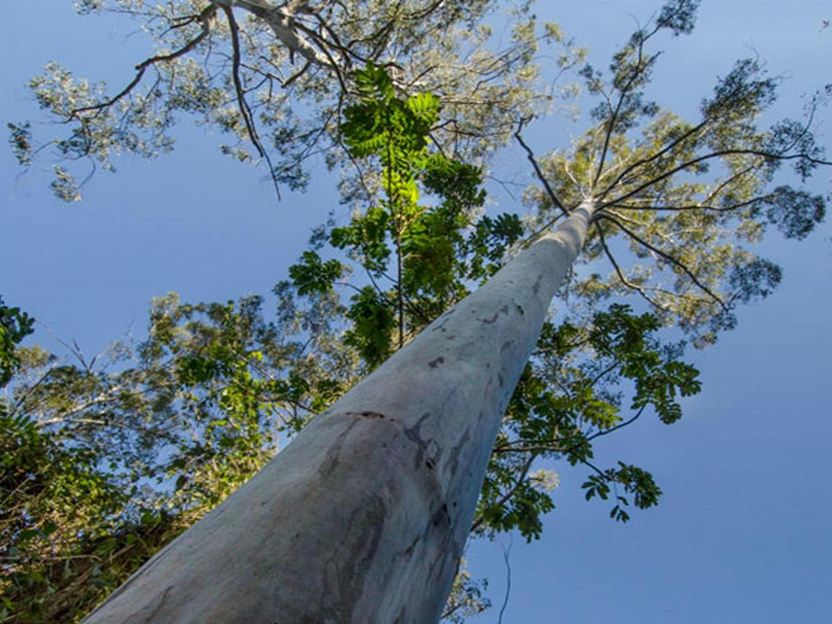 Basin Loop walking track, Copeland Tops State Conservation Area. Photo: John Spencer &copy; DPIE