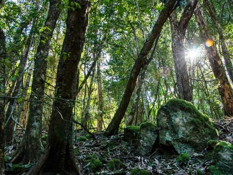 Copeland Tops State Conservation Area