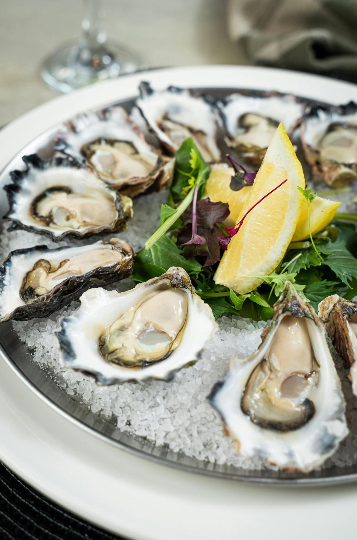 Oysters