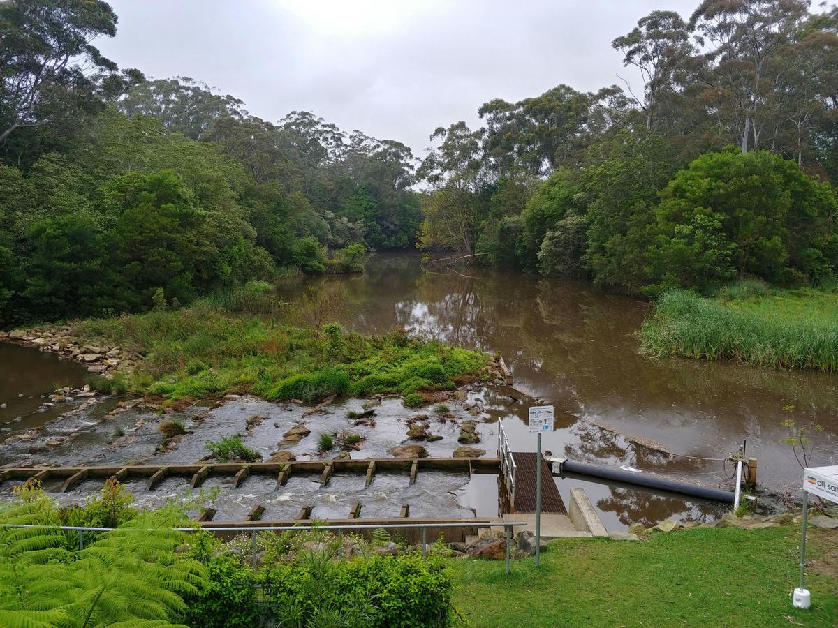 Fish Ladder