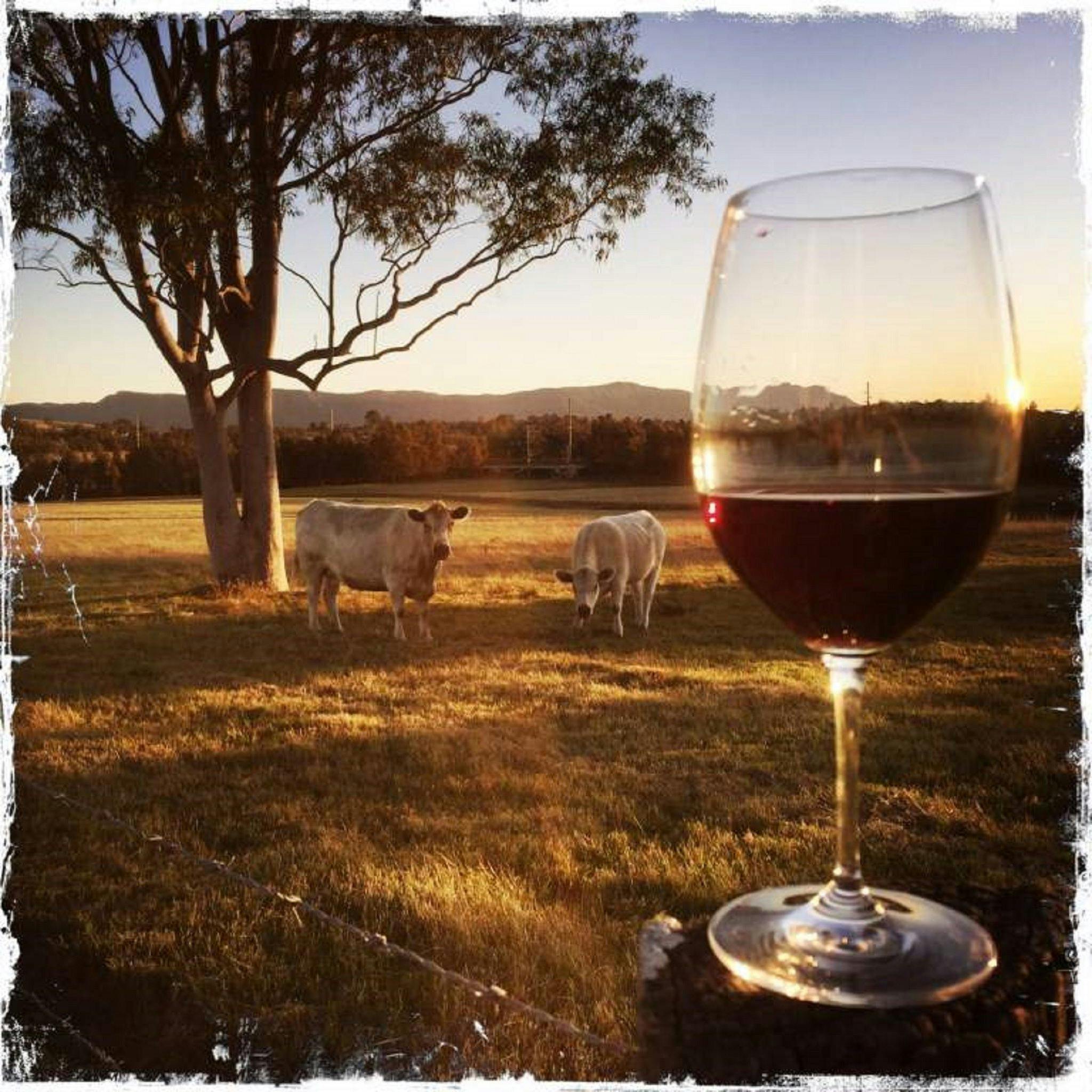 Thelma and Lousie at Lucy's Run Wines