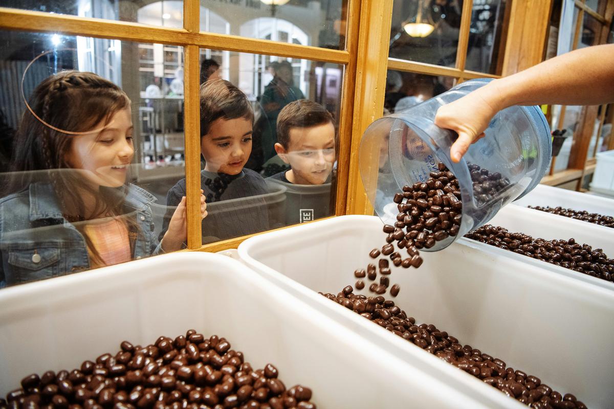 Witness chocolate products being made