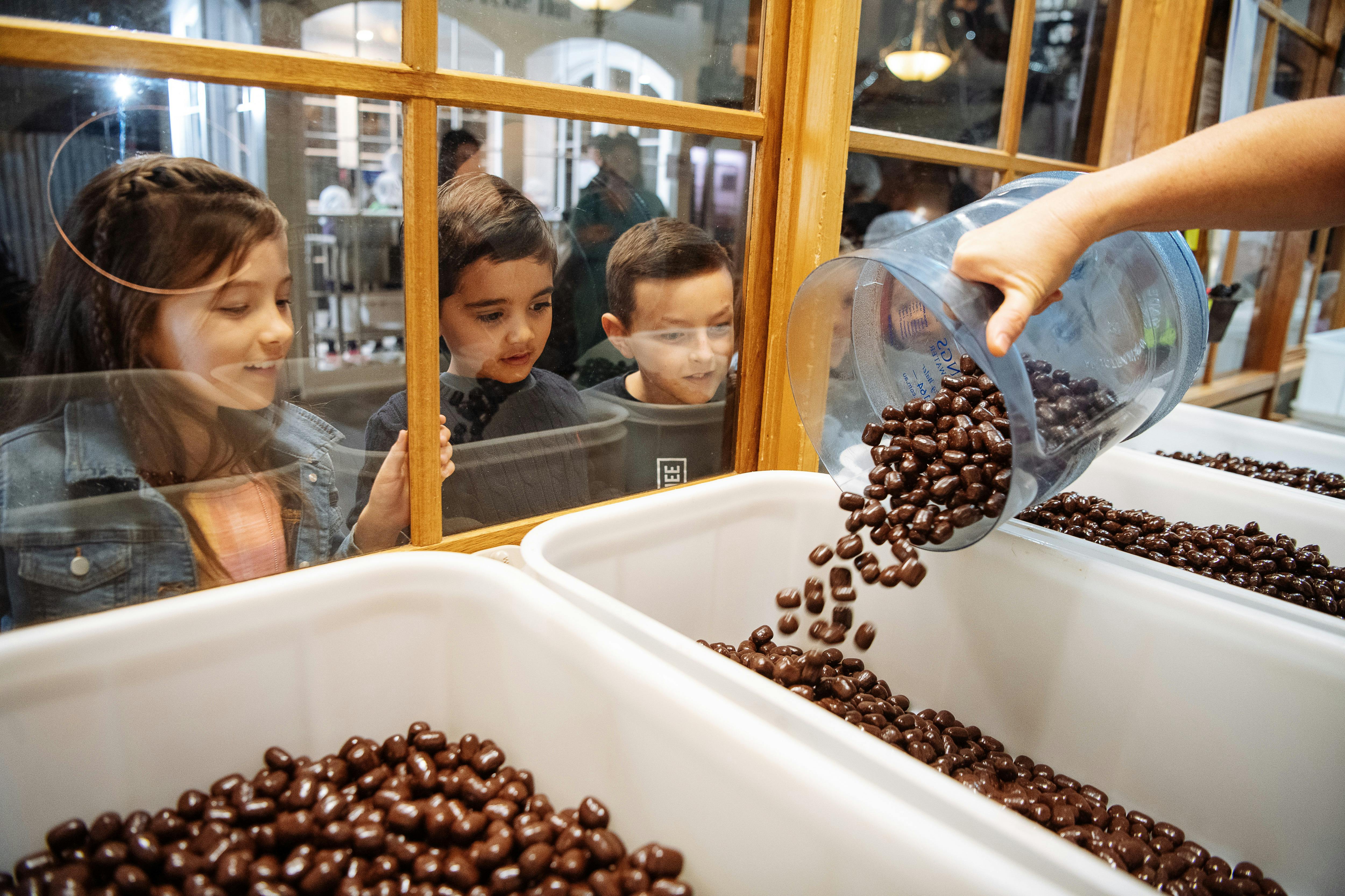 Witness chocolate products being made