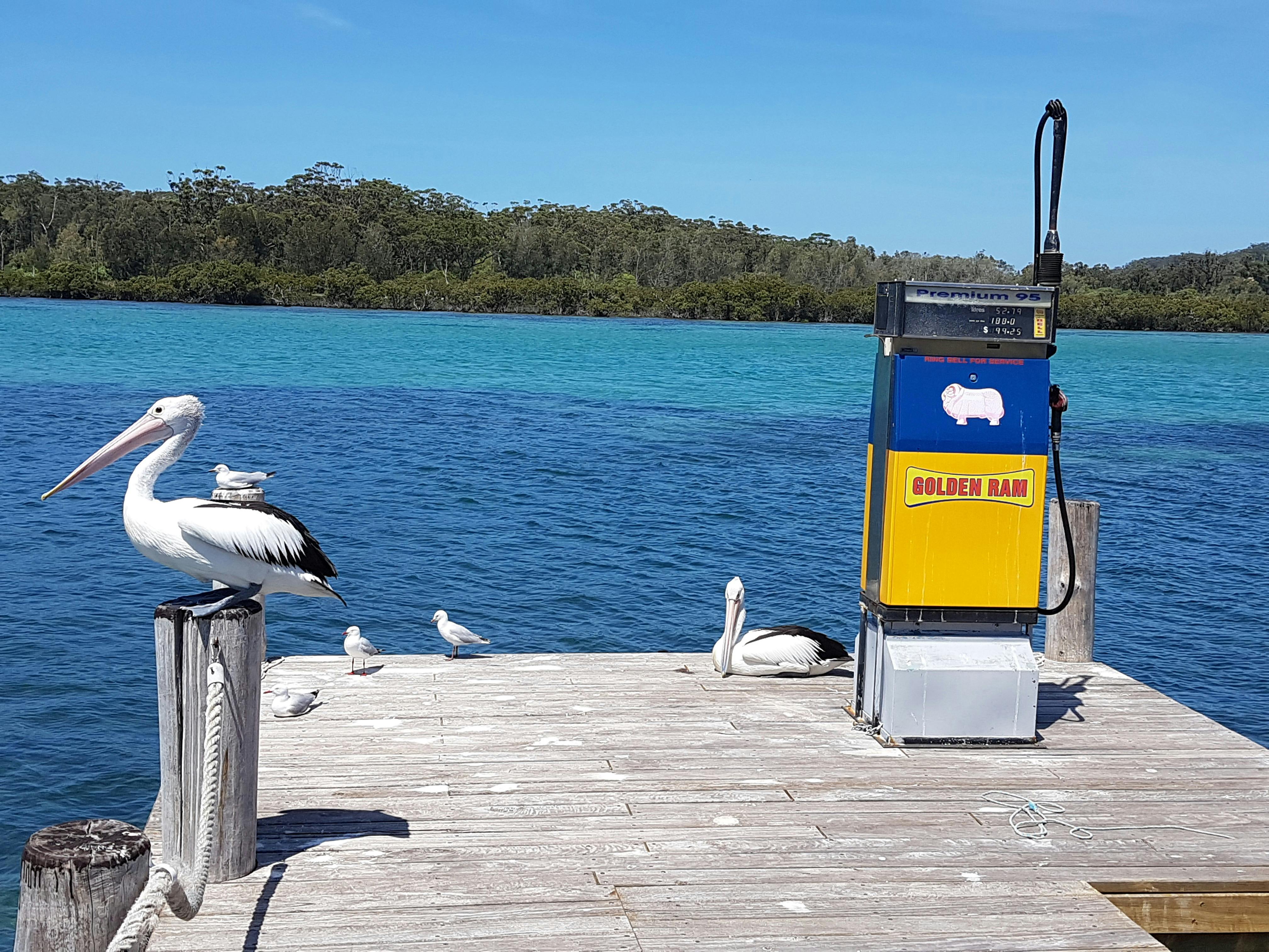 Absolute water front dining