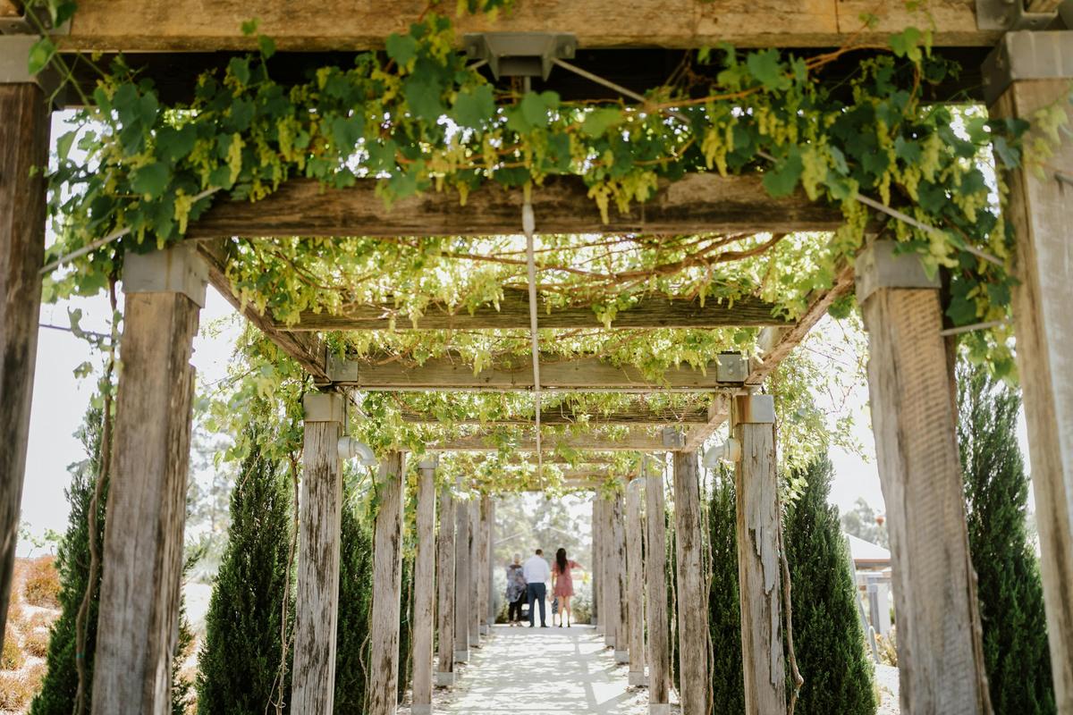 Piggs Peake Winery