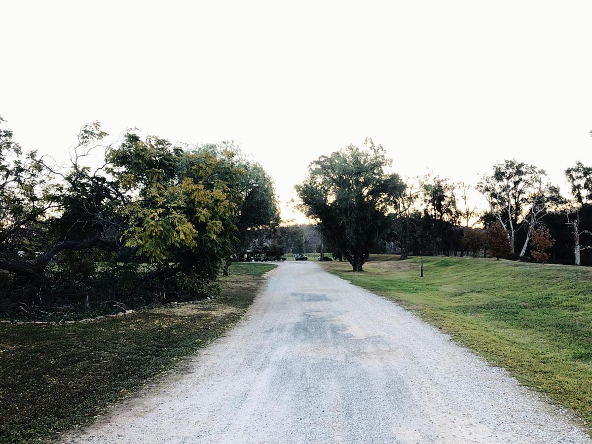 Pieter van Gent Winery and Vineyard