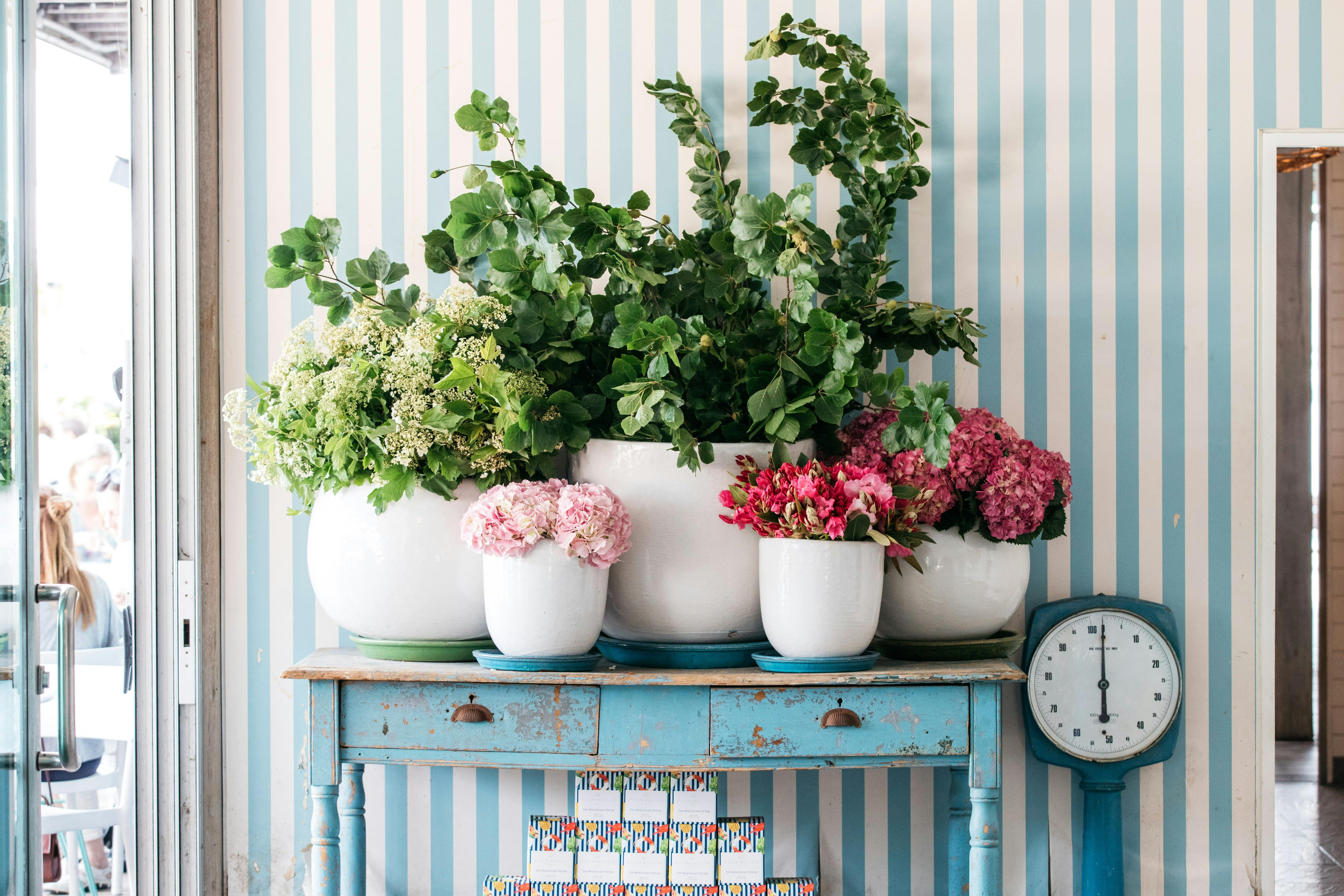 The Boathouse Balmoral