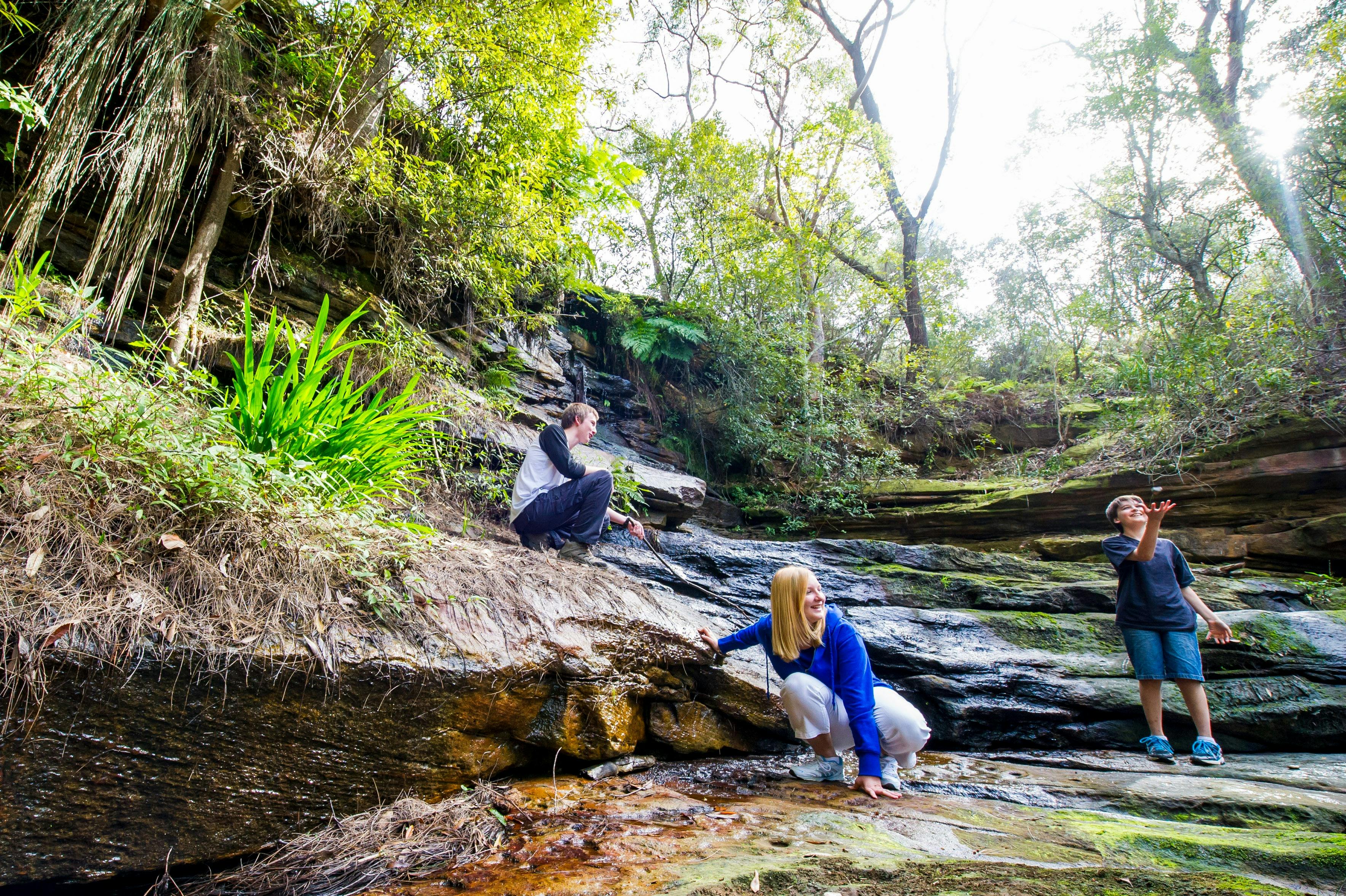 Exploring the Allenby Park Walk