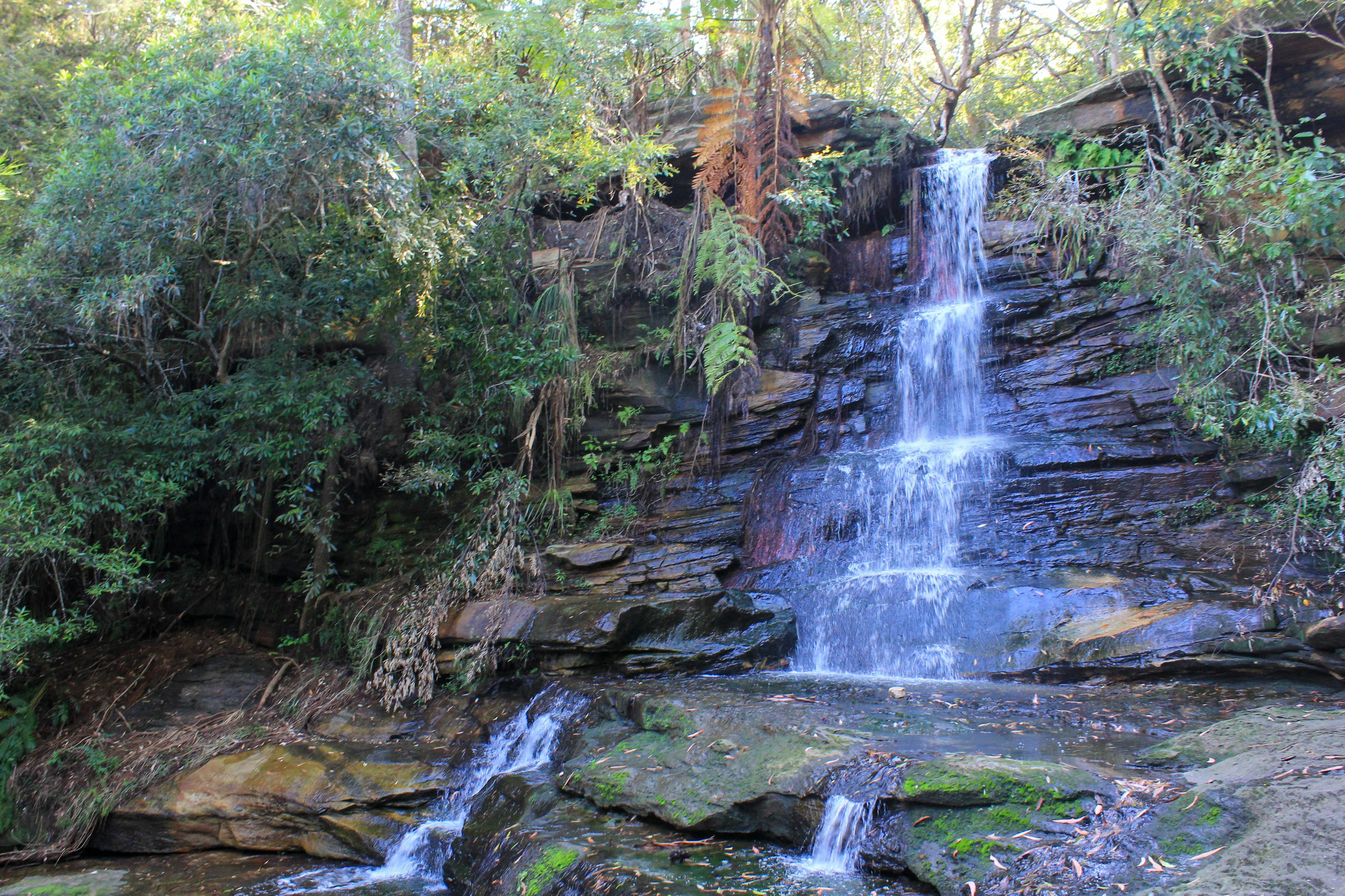 Allenby Park Waterfall