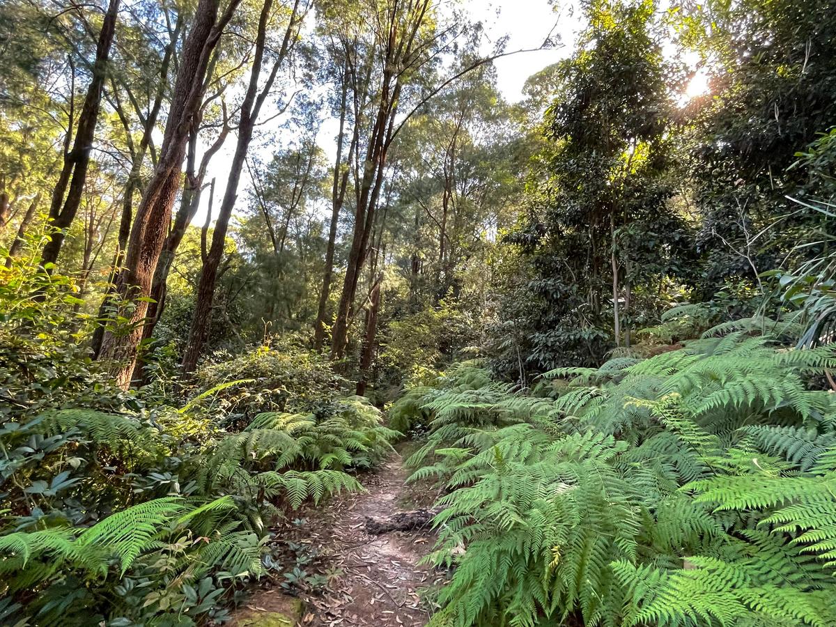 Allenby Park Walk