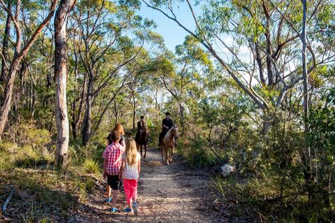 Anembo Reserve Walk