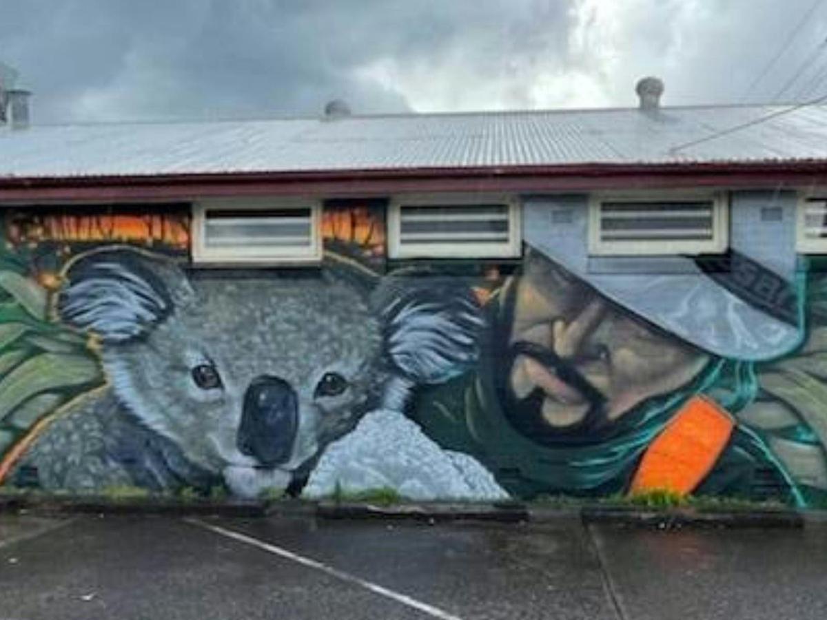 Koala Rescue, Bargo