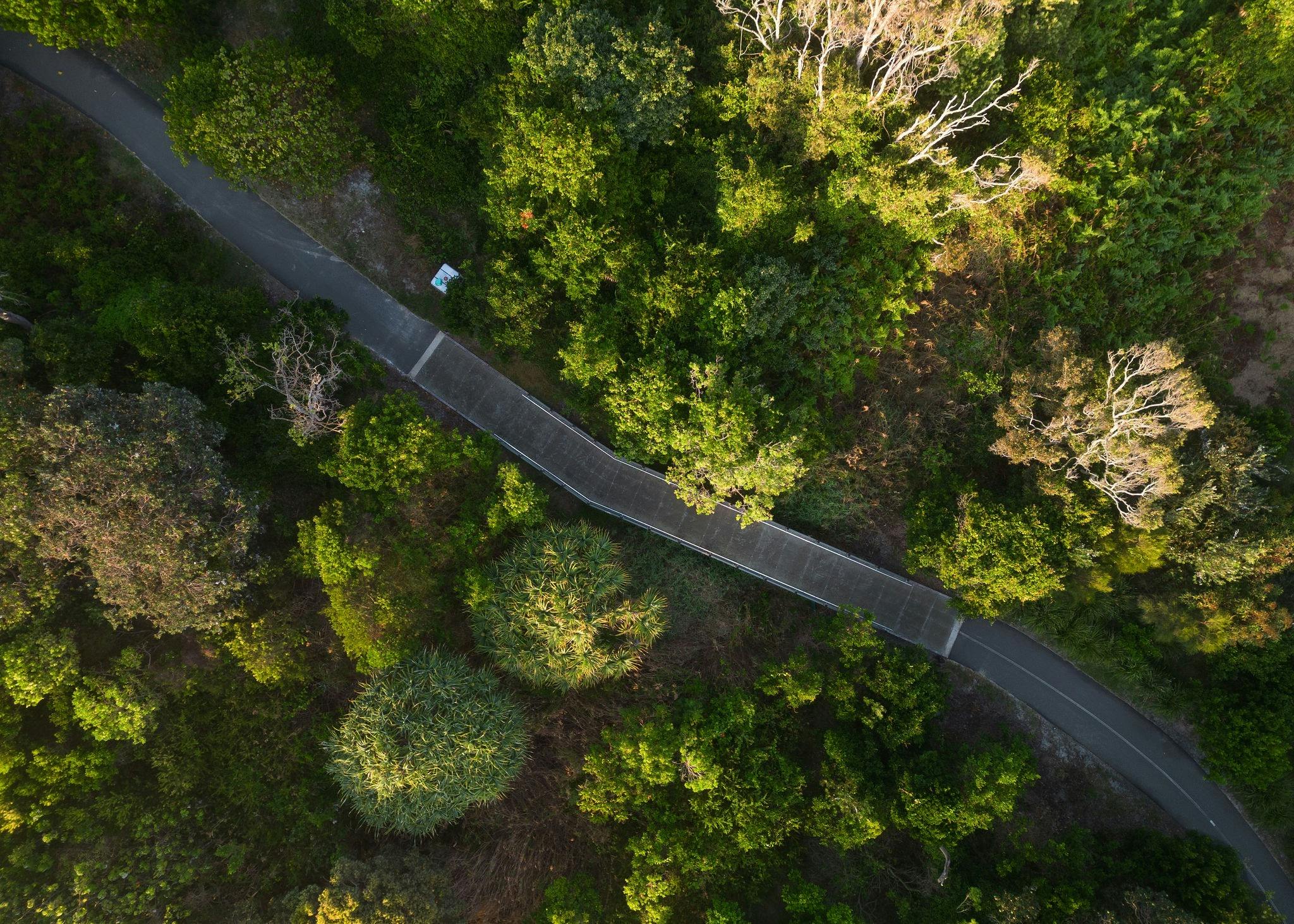 Ballina Coastal Recreation Path