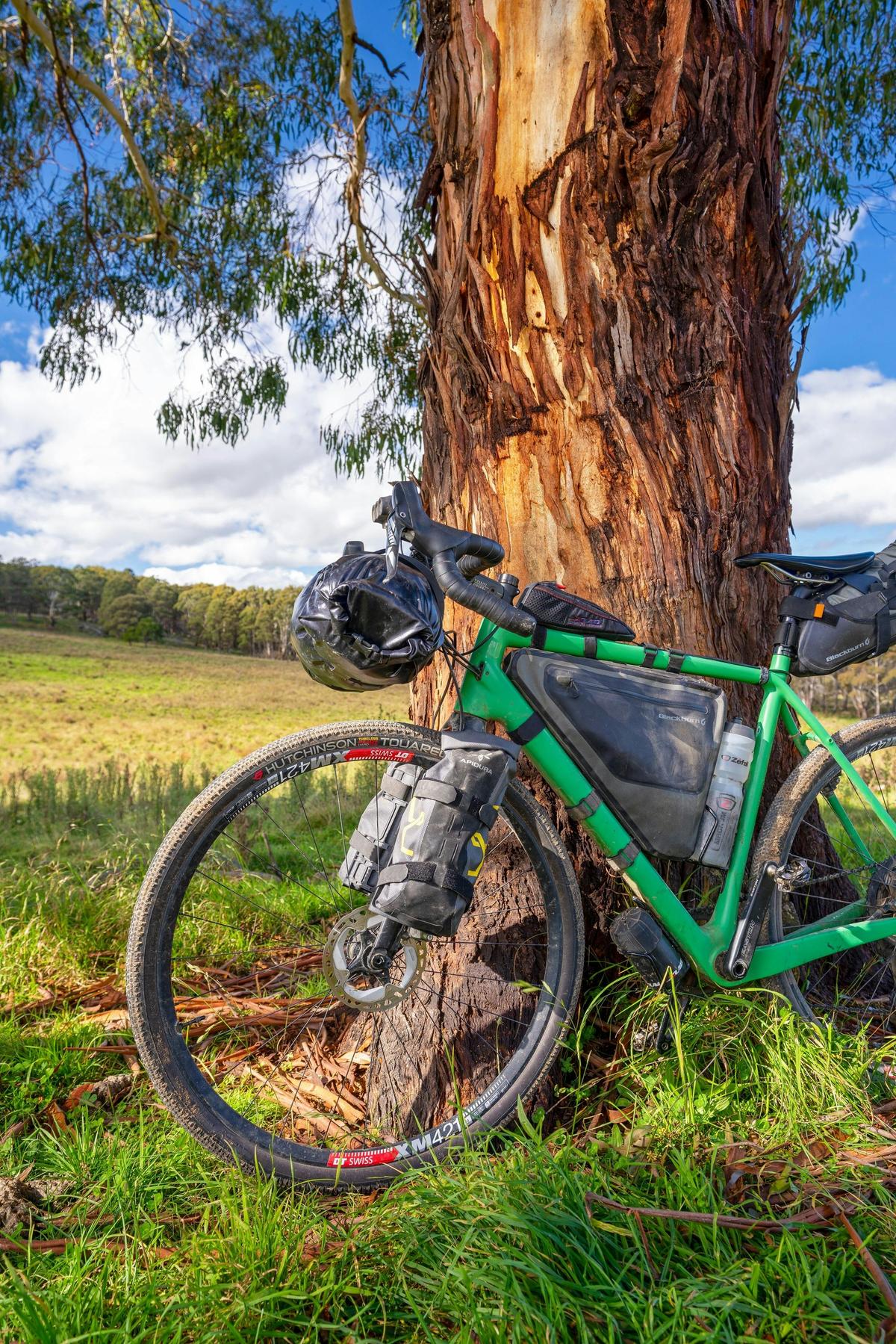 Kookaburra 200