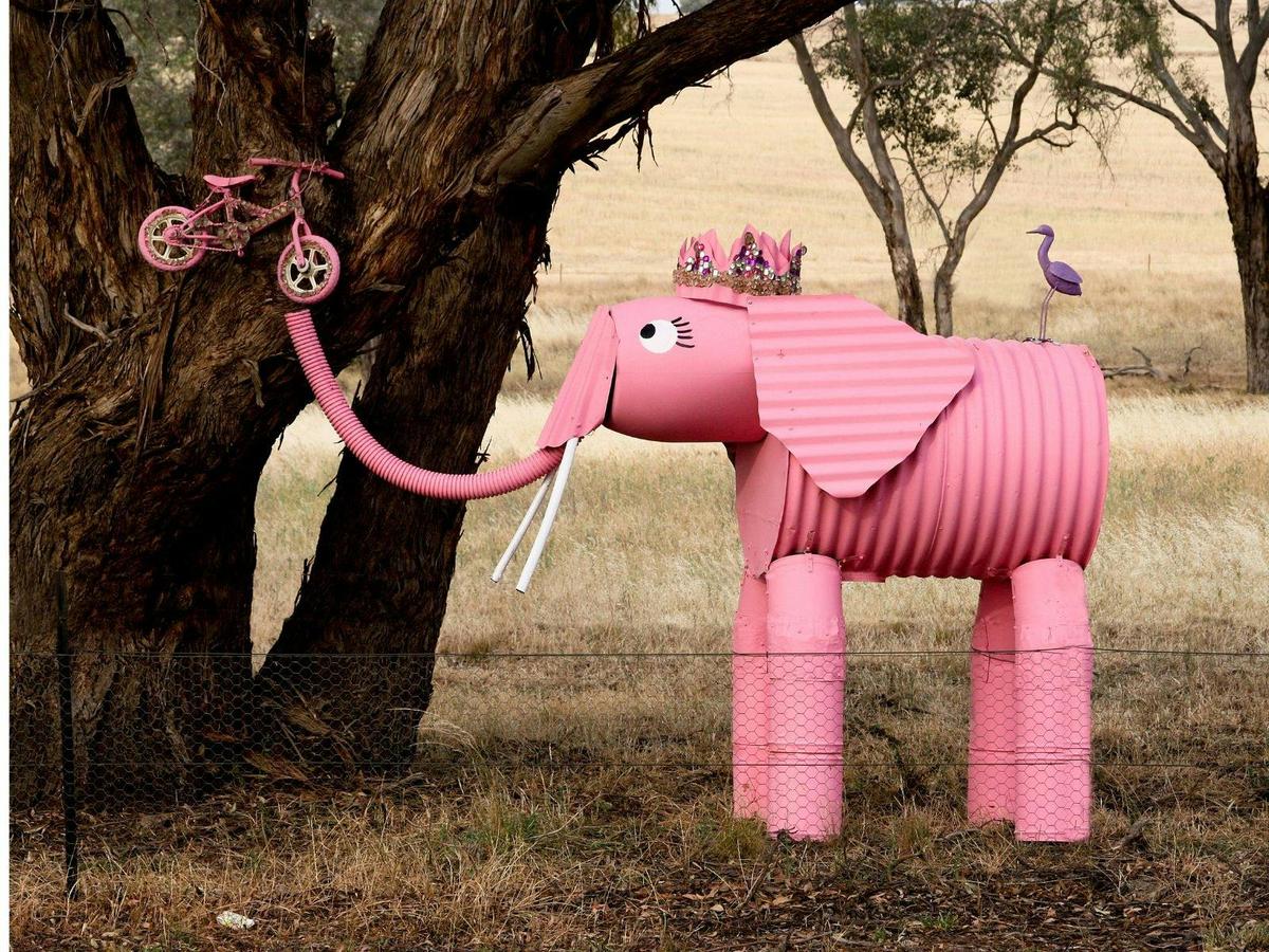 Fizzy the Elephant - one of the Animals on Bikes