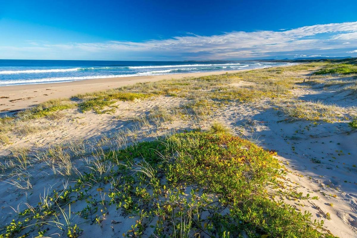 Cudmirrah Nature Reserve Beach