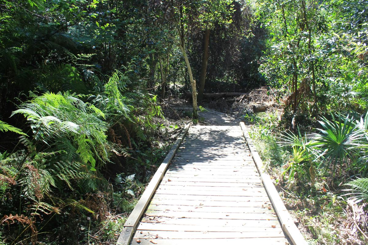 Irrawong Reserve Jim - Revitt Walk