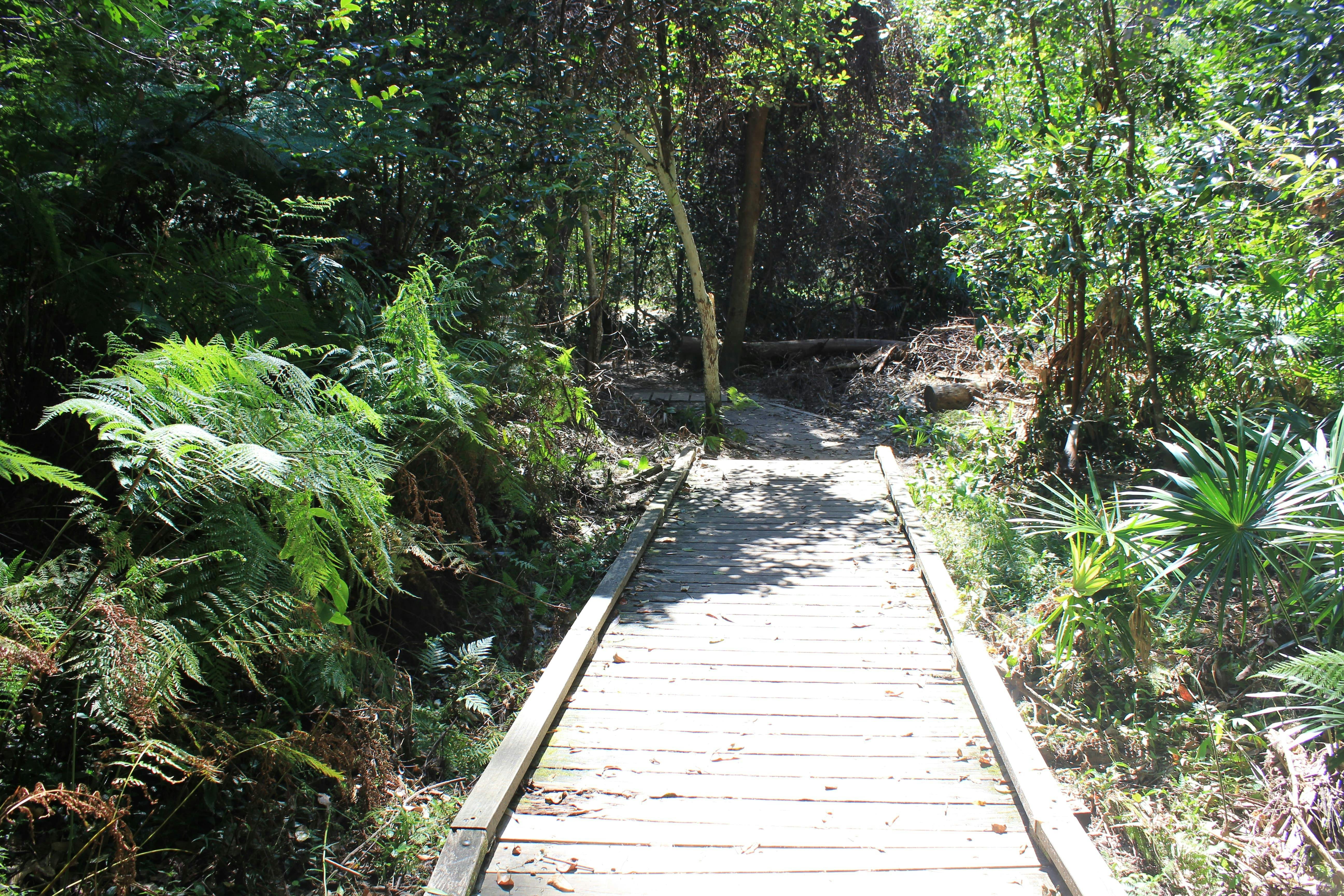 Irrawong Reserve Jim - Revitt Walk