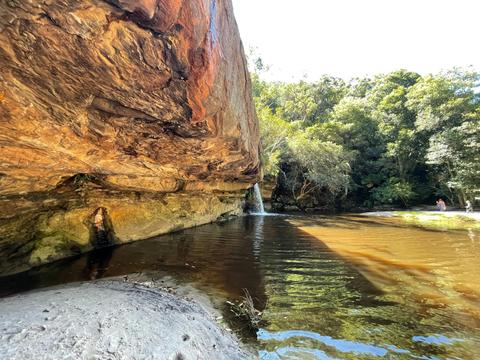 Irrawong Reserve and Waterfall - Jim - Revitt Walk