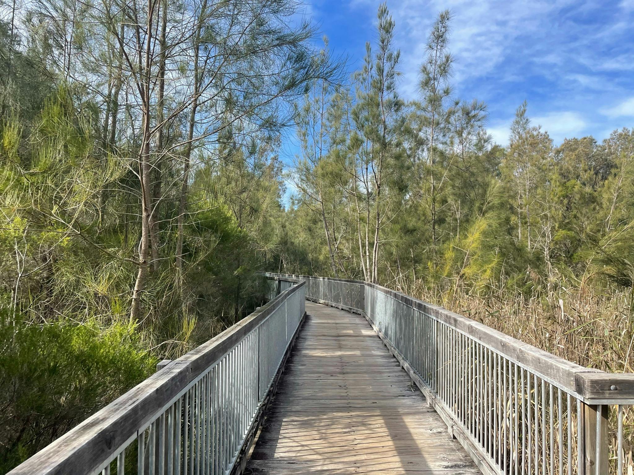 Irrawong Reserve - Jim  - Revitt Walk