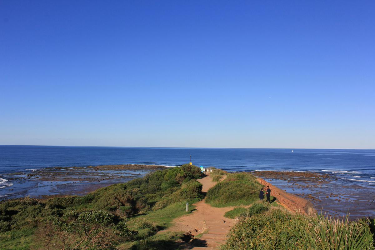Long Reef Headland View