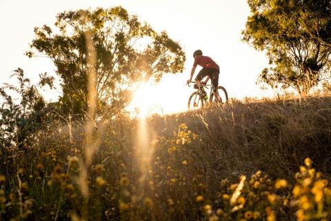 Cookamidgera-Mandagery Loop via Eugowra