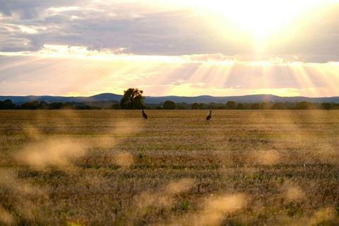 Peak Hill to Parkes