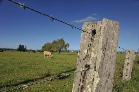 Macleay Valley Coast – Bellbrook Scenic Drive