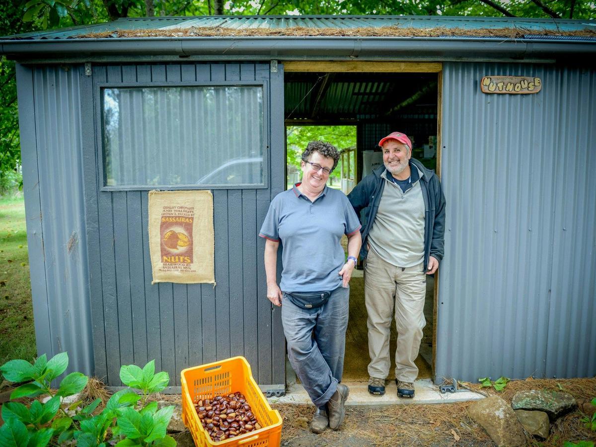 During March & April you can pick and purchase chestnuts from Sassafras Nuts.
