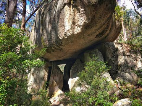 Mount Lindesay Road (Tourist Drive 7)