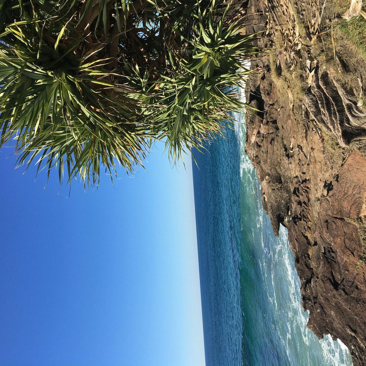 Snapper Rocks