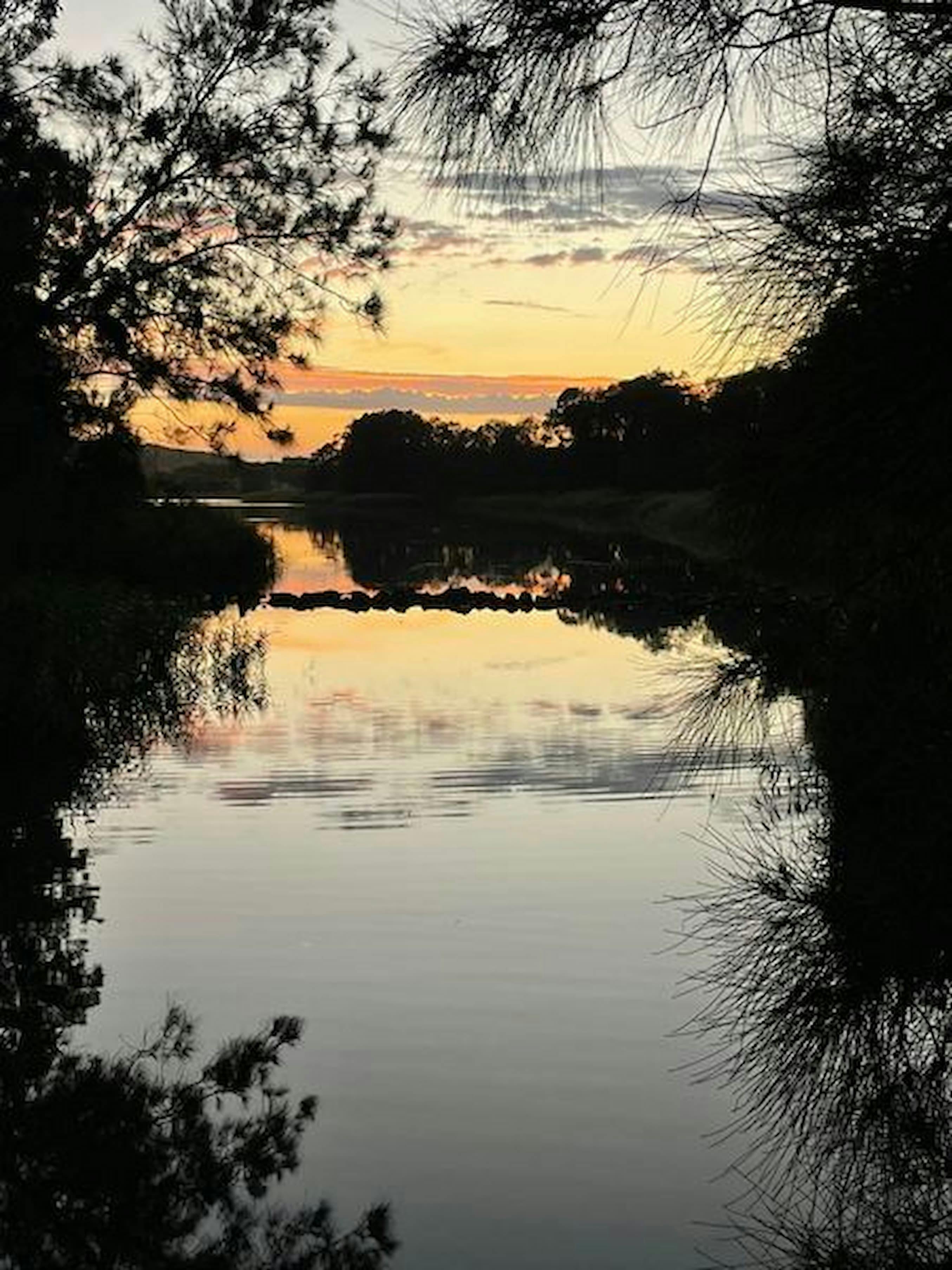 Curl Curl Lagoon Sunset