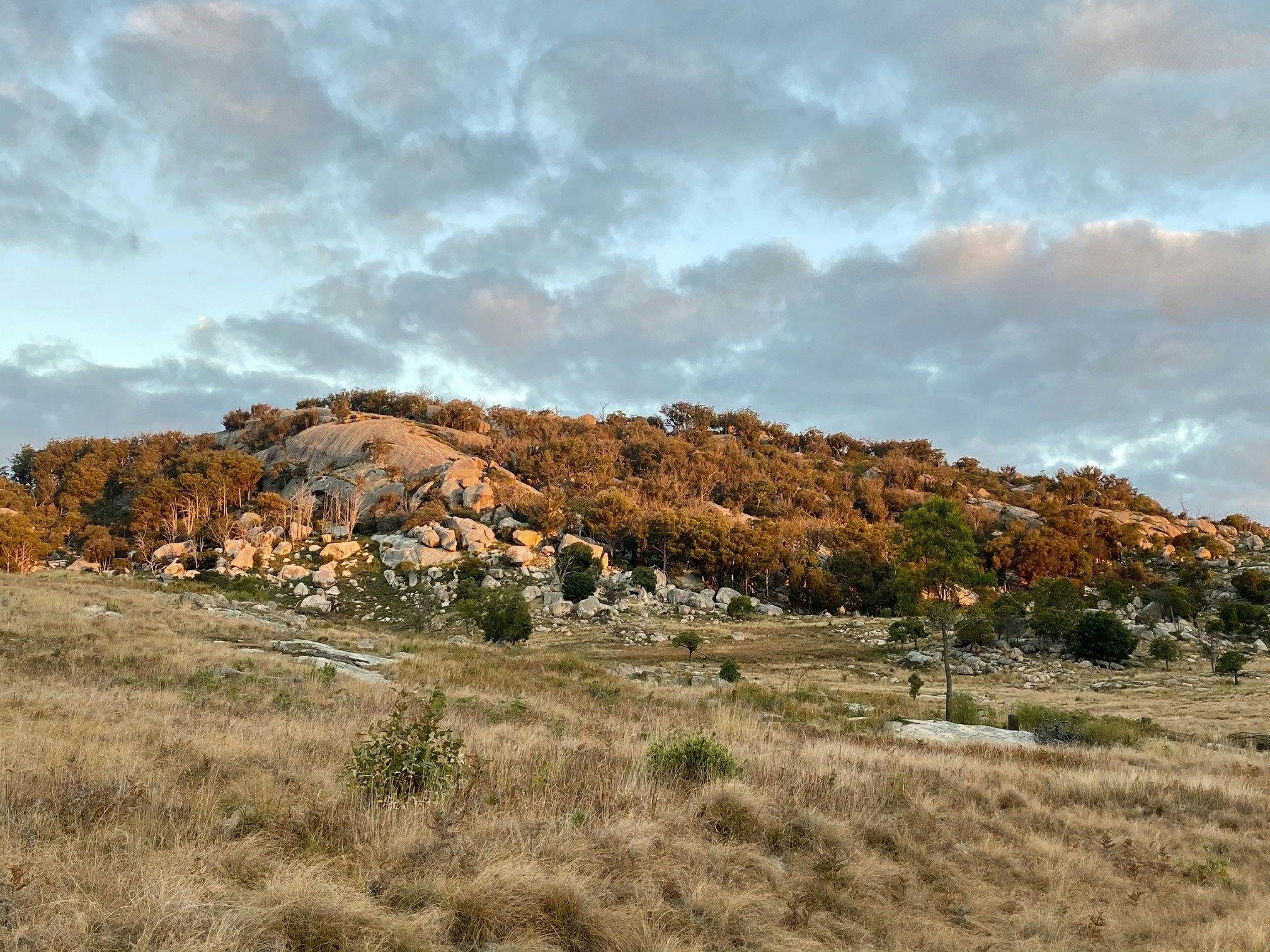 Mount Mackenzie scenic drive