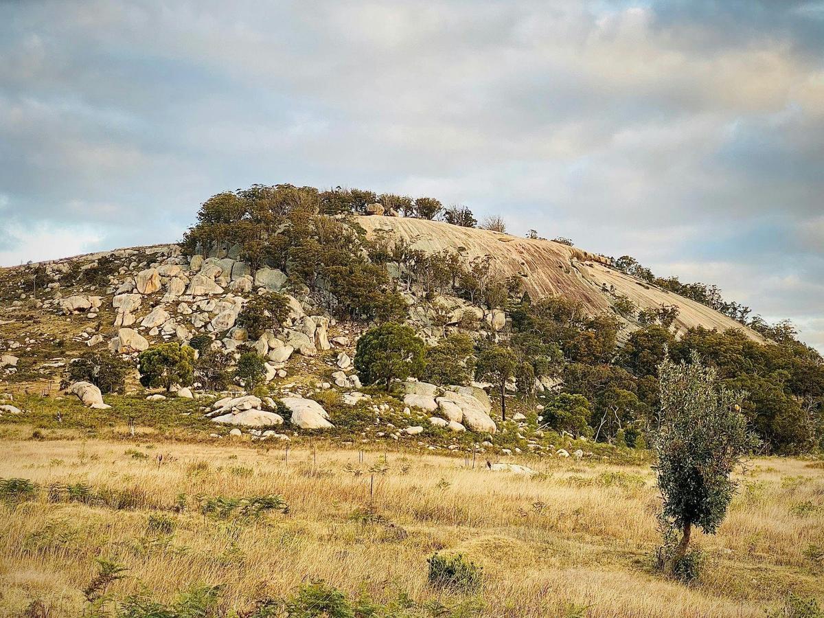 Mount Mackenzie scenic drive