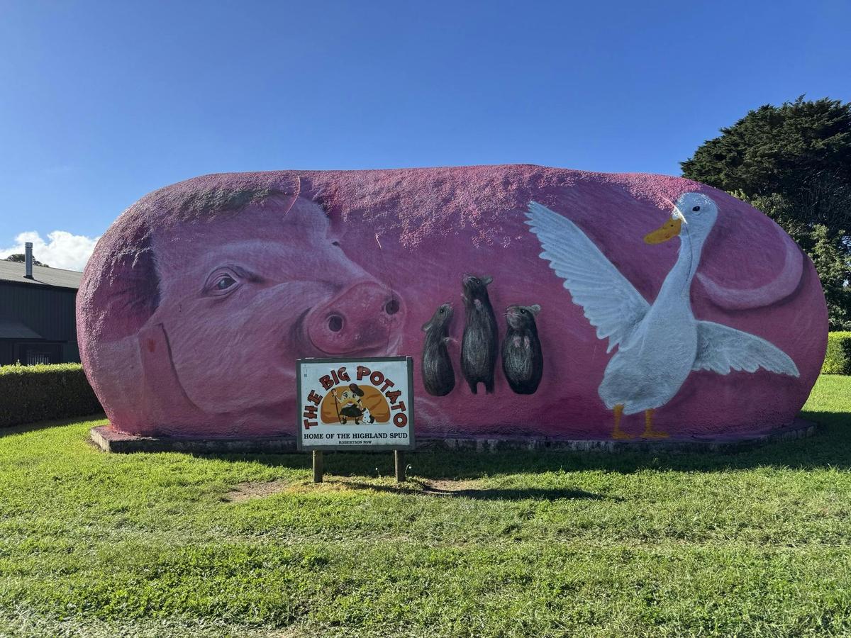 The Robertson Potato - BABE