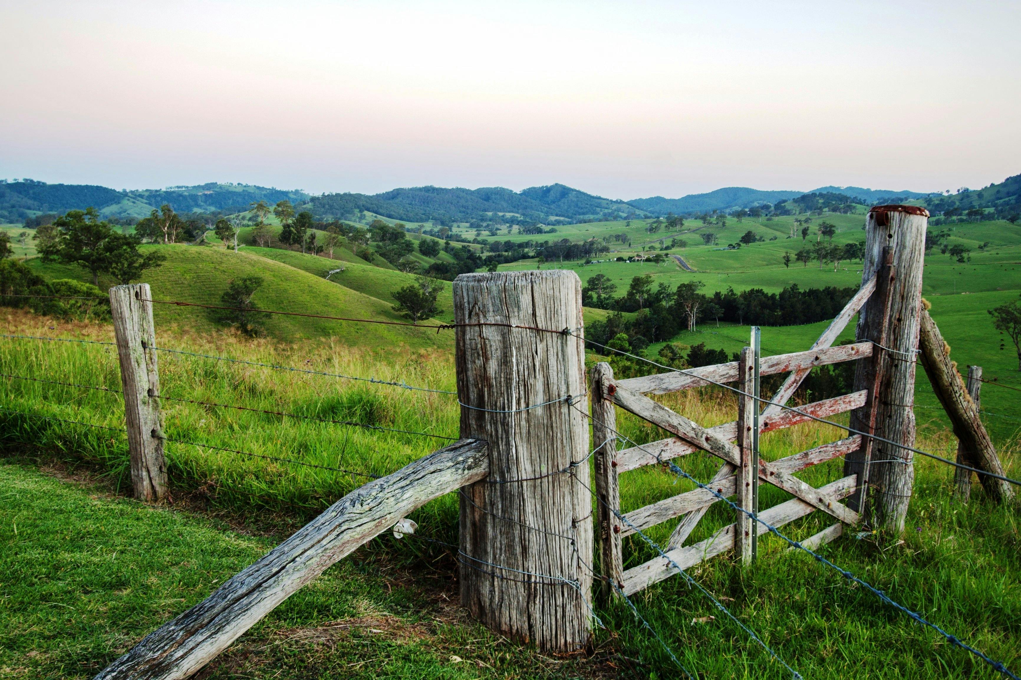 View from Mograni Lookout on The Bucketts Way at Gloucester NSW