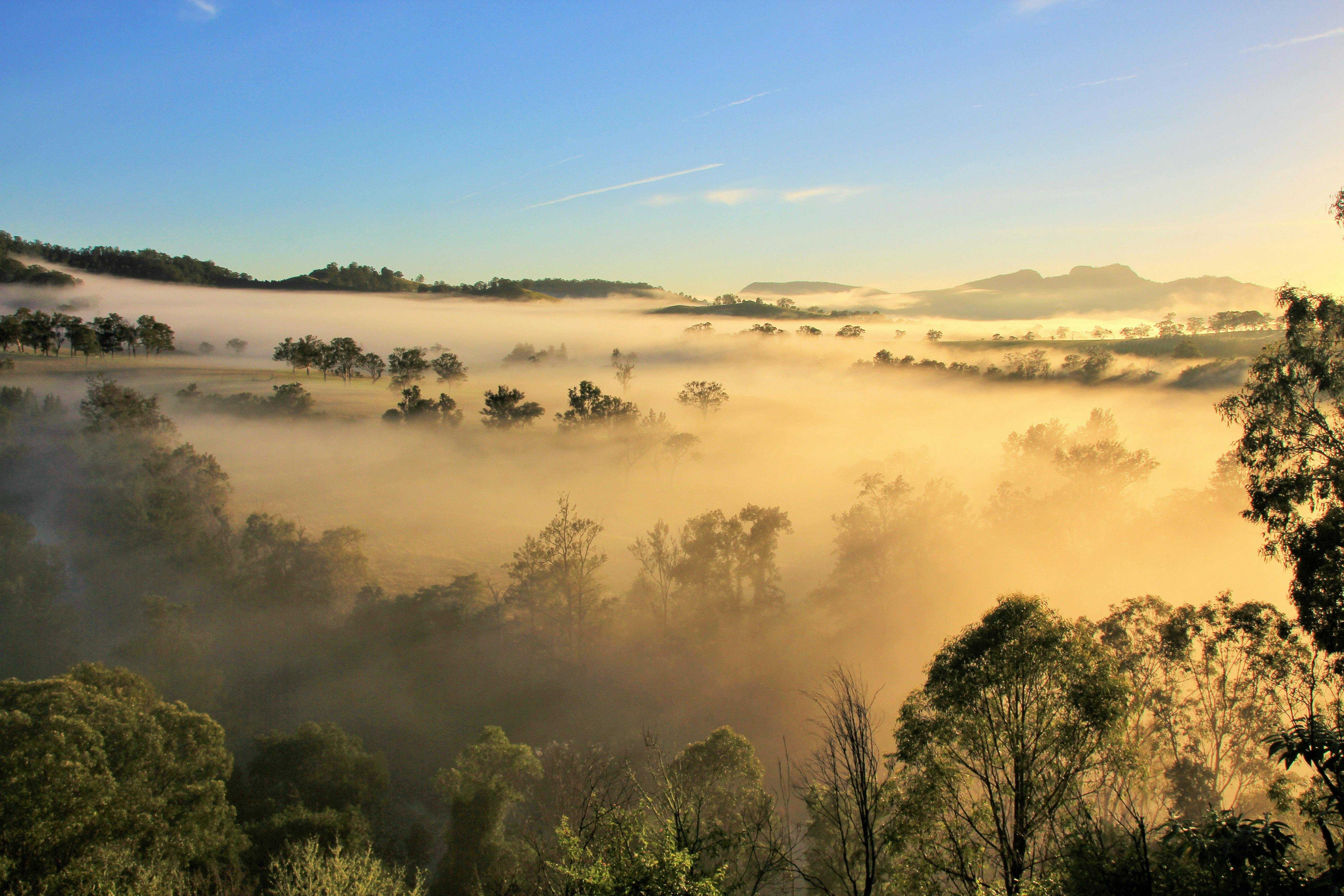 Barrington River valley views at Gloucester NSW