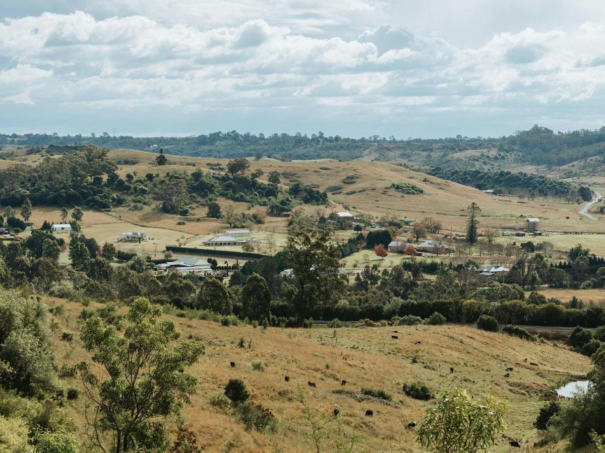 Menangle