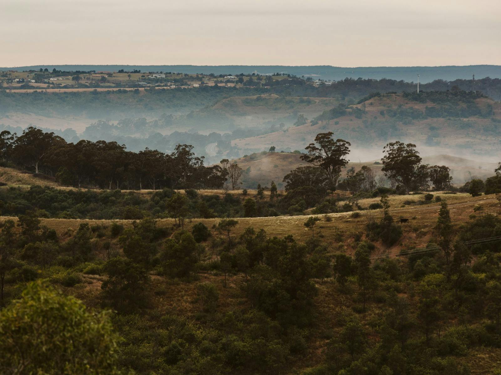 Montpelier to Razorback