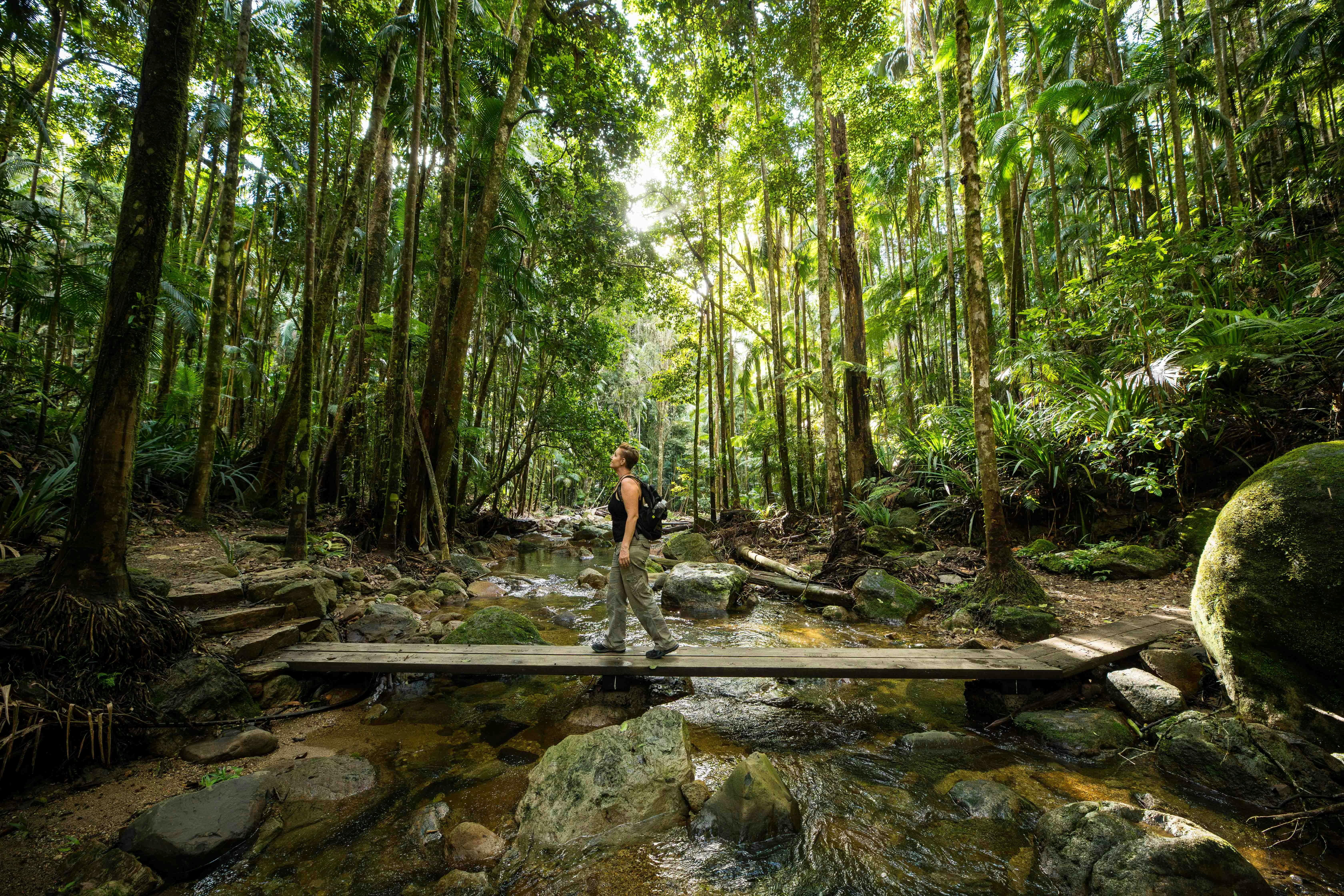 Woman exploring Nightcap National Park